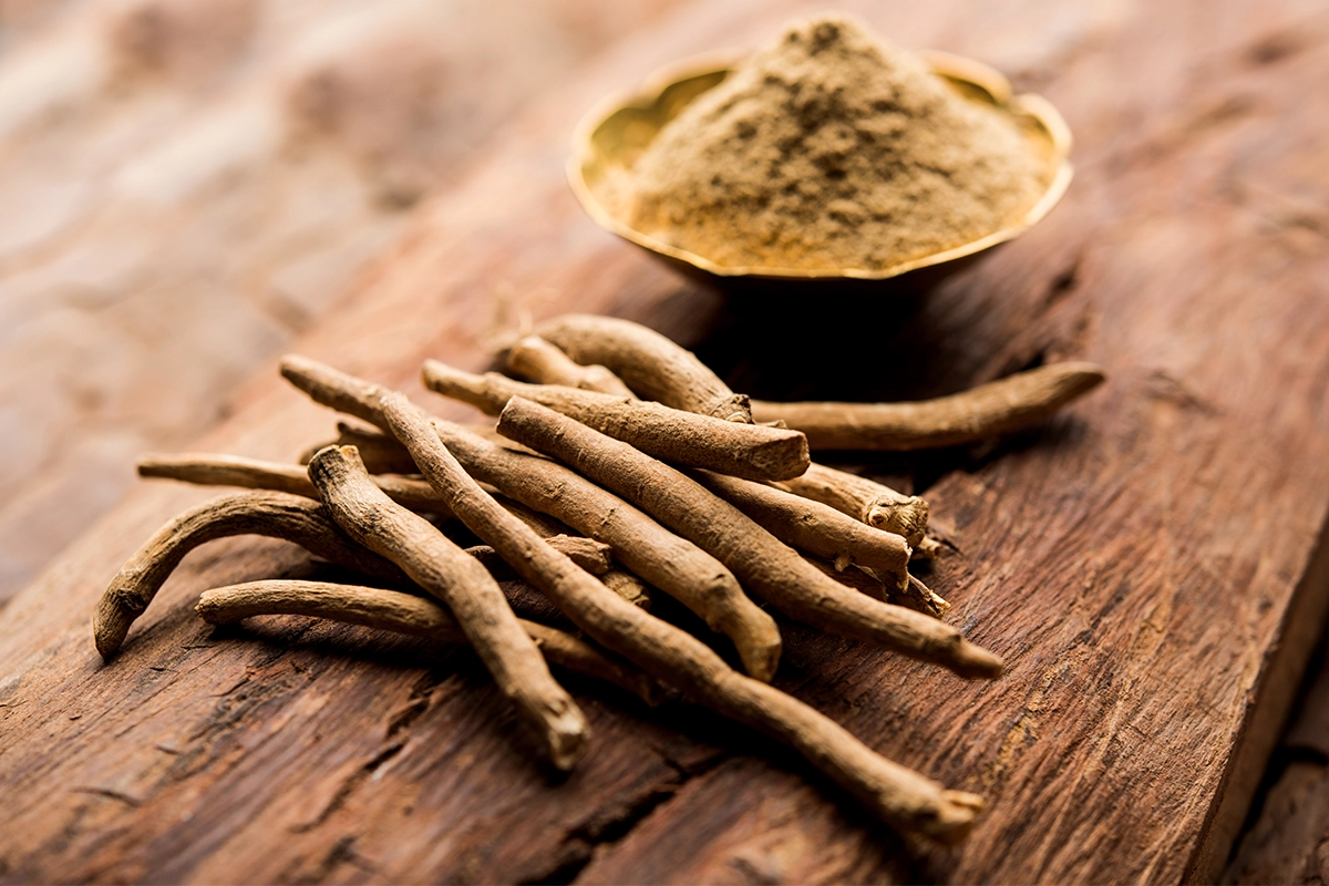Ashwagandha or Indian Ginseng is an Ayurveda medicine in stem and powder form.